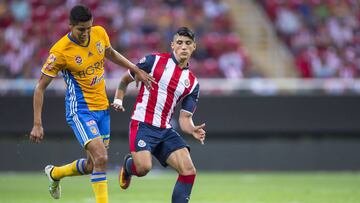 Horario, canal de TV y cómo ver online Guadalajara - Tigres. Todas las jugadas del partido las podrás conocer minuto a minuto. Jornada 12 - Liga MX