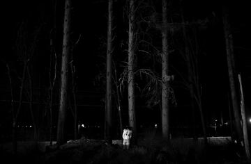 Despu¨¦s de que un incendio forestal devastara su ciudad, los miembros de los Bobcats Paradise de la peque?a comunidad rural de Paradise (California) regresaron a su campo de f¨²tbol para revivir a su equipo y embarcarse en una nueva temporada.