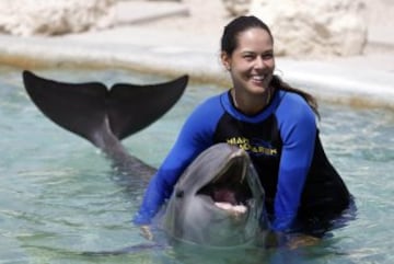 Ana Ivanovic con delfines en el Miami Seaquarium en 2014. 