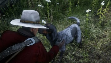 Todos los animales de Red Dead Redemption 2