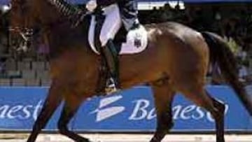 <b>LOS MEJORES.</B> Alemania ha logrado la medalla de oro en Doma Clásica, en un concurso en el que España ha historia al conseguir el bronce.