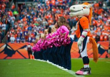 La mascota de los Broncos siempre quiso Cheerleader y a punto estuvo de lograrlo en la semana 4.