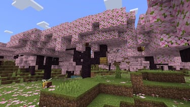 All you need to know about the new Minecraft biome, Cherry Blossom: Release date and news