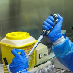 Coronavirus y el calor: ¿a qué temperatura mueren las cepas del Covid-19?