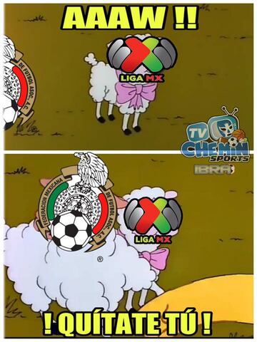 Los memes acaban con la Selección Mexicana