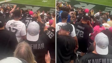 Stadium chaos: Steelers and Raiders fans throw down in stands