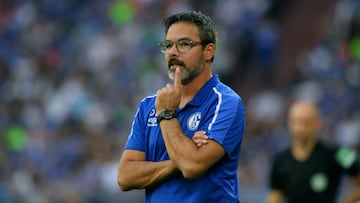 Este jueves 10 de junio, se dio a conocer que el director técnico estadounidense David Wagner tomó al cuadro campeón de Suiza Young Boys.