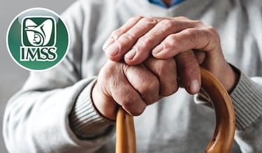 Aguinaldo para pensionados del IMSS: ¿cuándo cae el pago y quiénes tendrán un aumento este 2025? 