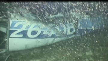 El avi&oacute;n que trasladaba a Emiliano Sala