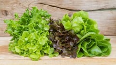 A doctor’s warning to those who usually buy bagged lettuce