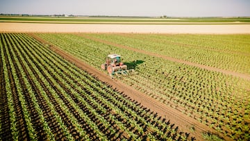 An aerial view of a tractor on vast crop fields tobacco illustrates the scale and efficiency of modern agricultural practices.