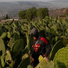 Los 10 estados menos afectados por el coronavirus