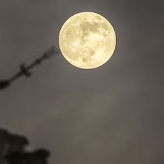 Eclipse lunar mayo 2022: ¿en qué países se podrá ver el eclipse total de Luna y en cuáles no?