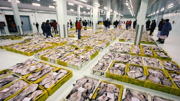 Fish market in the port of A Coruna, Galicia region, 6th March 2007 ( Photo by Xurxo Lobato /Getty images )