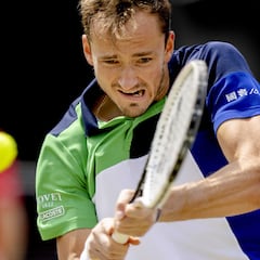 La paradoja de Medvedev