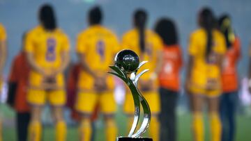 AME297. MONTERREY (MÉXICO), 27/11/2023.- Vista del trofeo del Apertura 2023 de la Liga MX Femenil previo a la vuelta de la final entre Tigres UANL y América, en el Estadio Universitario de la ciudad de Monterrey (México). EFE/Miguel Sierra