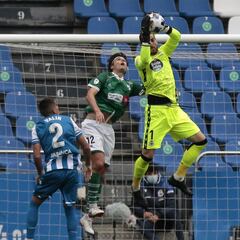 De Carlos Abad a Molina