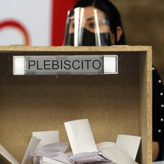 Plebiscito Nacional 2020: cómo saber si soy vocal de mesa y plazo para reclamar