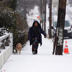 Attention dog owners: This is the temperature that is considered too cold to walk your dog in winter
