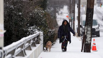 At least one daily walk is essential for dogs of all sizes as it provides exercise, attending the call of nature and stimulates the animal instinct.