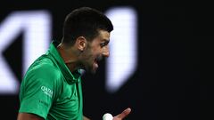 Djokovic se quedó a centímetros de ser descalificado