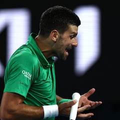 Djokovic se quedó a centímetros de ser descalificado
