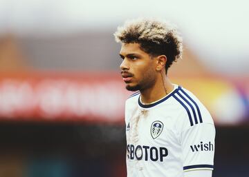 El prometedor ariete del Hoffenheim, ha aceptado el reto de la Premier League tras fichar por el Leeds United. El coste de la operaci¨®n ronda los 28 millones de euros.