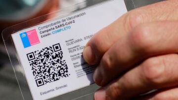 Pase de movilidad: ¿cómo saber si está habilitado y cuánto se demora en actualizar?