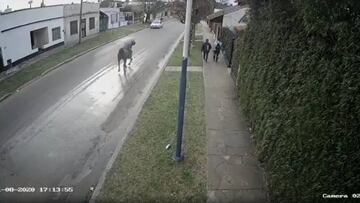 No es el Far West pero lo parece... un ladrón a caballo aterroriza un barrio en Argentina