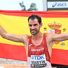 La bandera de la marcha