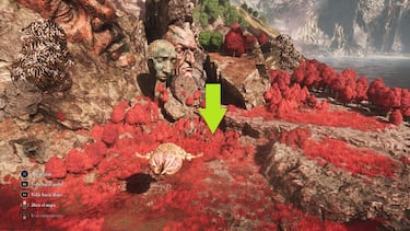 All Lost Gestrals in Clair Obscur: Expedition 33—Maps and Locations