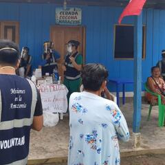 Qué es la ivermectina, el medicamento de uso veterinario inyectado a miles de personas en Loreto