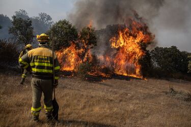El incendio de Losacio, en la provincia de Zamora, fue uno de los más trágicos y devastadores de la oleada de incendios forestales que asoló España en el verano de 2022. El incendio se inició el domingo 17 de julio de 2022, a causa de un rayo caído durante una tormenta seca. Arrasó más de 31.000 hectáreas, convirtiéndose en el mayor incendio de la historia de Castilla y León. La superficie quemada incluyó una importante cantidad de arbolado, monte bajo, pastos y terrenos agrícolas. El fuego afectó a 52 localidades de las comarcas de Aliste, Tábara, La Carballeda, Tierra de Alba y Benavente y los Valles.