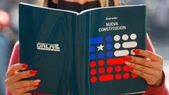 Plebiscito de Salida: qué se vota y cuándo es