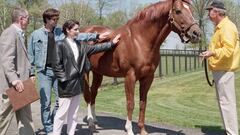 The American thoroughbred racehorse, a triple crown winner in 1973 finished with a record of 16–3–1 and is widely considered to be the greatest racehorse of all time.