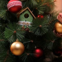 Navidad 2022: Tips para que perros y gatos no tiren el árbol navideño