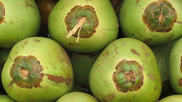 Una dietista da la respuesta definitiva sobre los beneficios del agua de coco: “No es mejor que el agua”