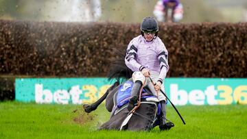 TAUNTON, ENGLAND - NOVEMBER 10: James Bowen riding Ile De Jersey fall at the last when clear during The Invest Southwest Novices' Handicap Chase at Taunton Racecourse on November 10, 2022 in Taunton, England. (Photo by Alan Crowhurst/Getty Images)