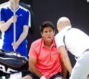 Haase frena a Verdasco en la hierba de Den Bosch