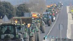 ¿Quién está detrás de la huelga de agricultores y ganaderos en España?