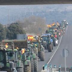 ¿Quién está detrás de la huelga de agricultores y ganaderos en España?