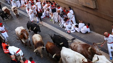 Revellers sprint next to Victoriano del Rio Cortes fighting bulls during the Encierro (running of the bulls), during the San Fermin festival in Pamplona, Spain, July 10, 2025. REUTERS/Albert Gea