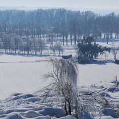¿Qué probabilidad hay de que ocurra una nueva Filomena?