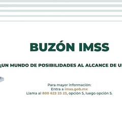 Buzón IMSS 2025: qué es, cómo funciona y paso a paso para activarlo