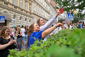 Fans leave bracelets on a tree and collect others as they gather following the cancellation of three Taylor Swift concerts.