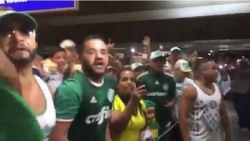 A una sola voz, hinchas de Palmeiras reciben a Miguel Borja