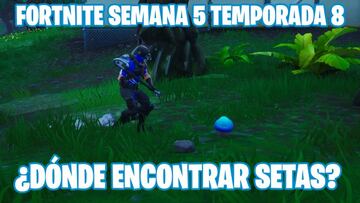 Fortnite Battle Royale - Desaf&iacute;o de la Semana 5 de la Temporada 8: Fase 1 de 3 - Obt&eacute;n escudos con setas