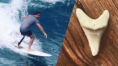 El surfista Chris Blowes, con una pierna amputada, surfeando en Maldivas unos a&ntilde;os atr&aacute;s, mientras a la derecha se puede ver el diente del tibur&oacute;n blanco que le atac&oacute; en South Australia en 2015. 