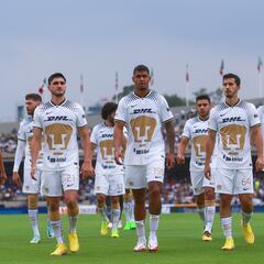 Pumas necesita la calculadora para jugar la repesca