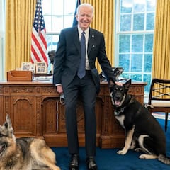 Major, perro de Joe Biden, recibe ayuda profesional tras incidentes